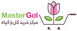 فروشگاه اینترنتی مسترگل