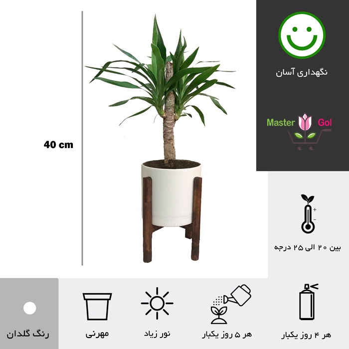 گلدان پایه دار یوکا